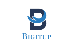 logo Bigitup