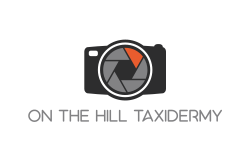 logo ON THE HILL TAXIDERMY