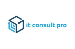 it consult pro