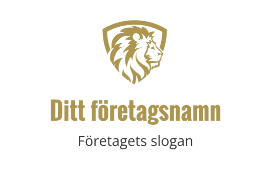 finanser