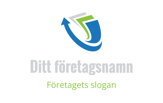 redovisning