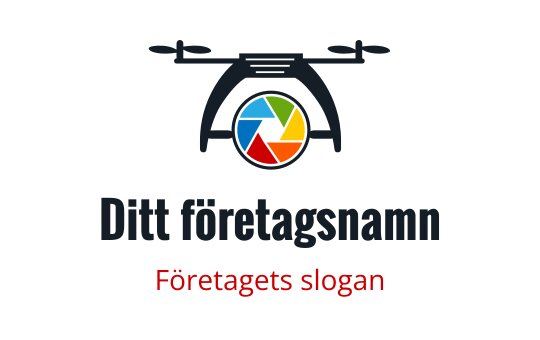 Logotypdesign för drönare med en färgglad kameralins och elegant silhuett